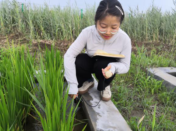 测量池间水的矿化度