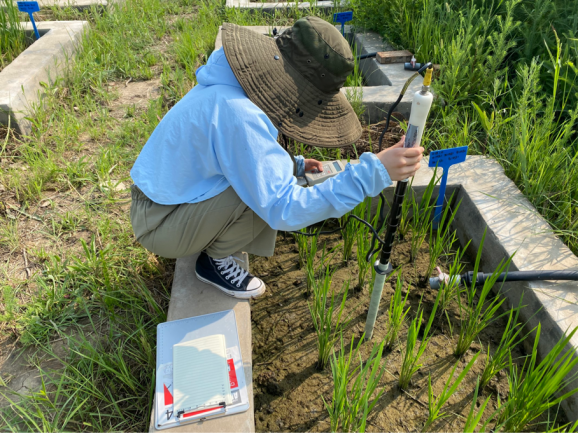 测量池间含水率照片